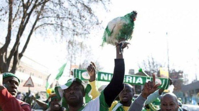 Los aficionados nigerianos suelen acudir a los estadios con gallinas para animar a su equipo.
