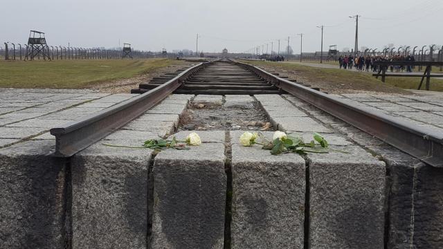 Auschwitz.