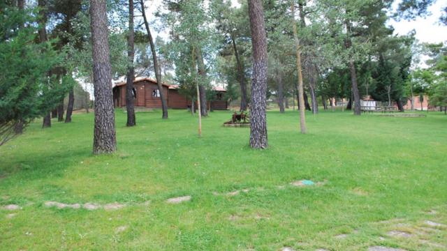 Campamento en el que supuestamente se han producido los abusos. / Página web Campa