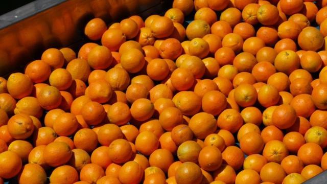 Así llega el zumo de naranja desde el árbol hasta tu mesa
