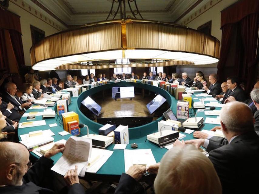 Académicos de la RAE.