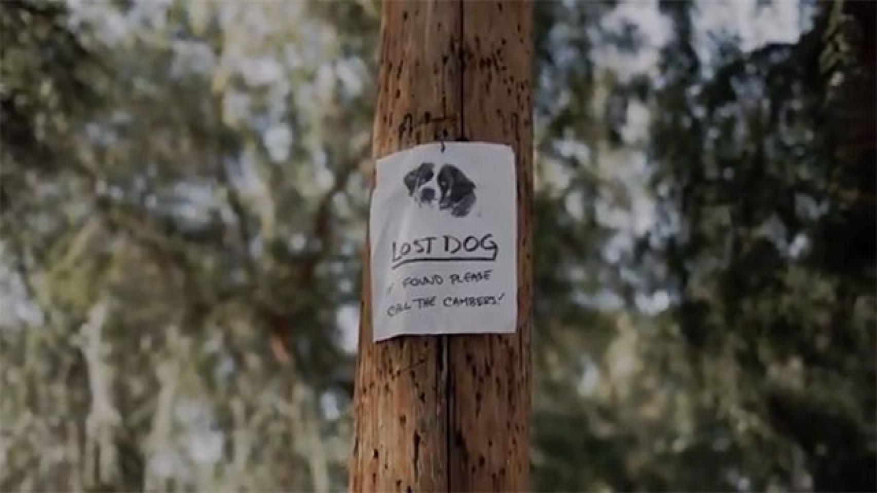 Nuevas imágenes de ‘Castle Rock’ con Cujo y Carrie