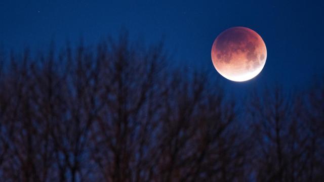 Imagen de una 'Luna de sangre'.