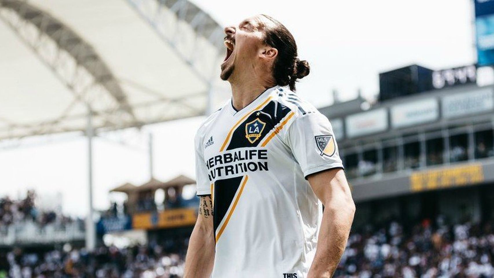 Ibrahimovic se cambia de profesión, durante un partido con su equipo. Foto: Twitter (@LAGalaxy)