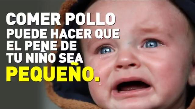 La campaña de PETA fue lanzada en 2016 a través de redes sociales como Twitter.