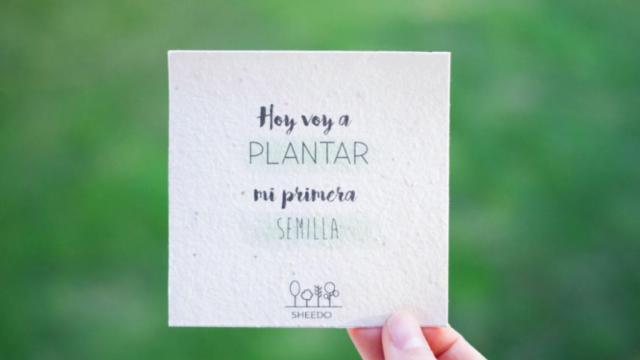 Una hoja de papel de Sheedo, el algodón reciclado con semillas.