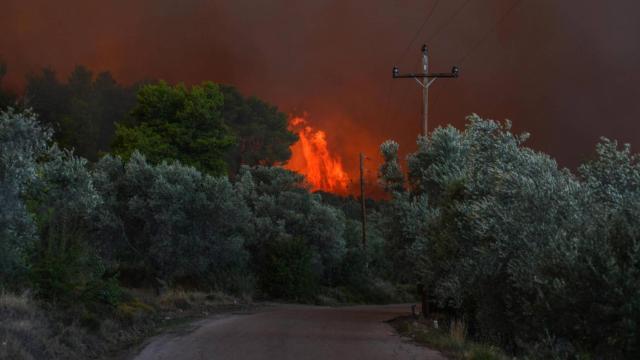 Vista del fuego en una zona forestal de Psachna, en la isla griega de Eubea, este domingo.