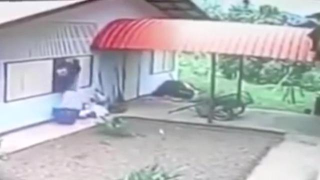 La tragicomedia del ladrón que no se paró a mirar dónde intentaba entrar