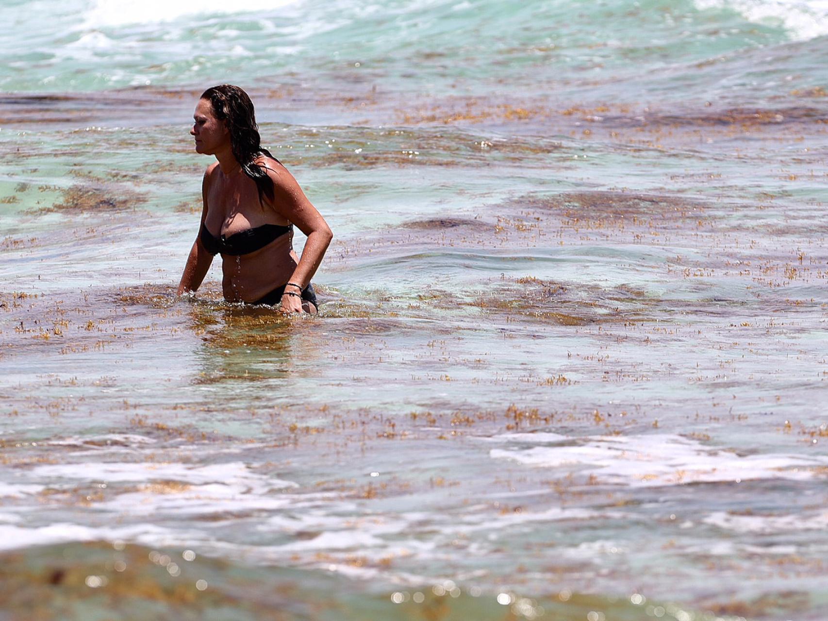 El mar Caribe lleno de sargazo.