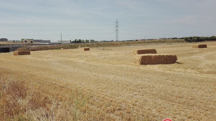 Castilla y León