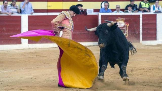 Revolera de Roca Rey en Villaseca, donde fue declarado triunfador en 2015