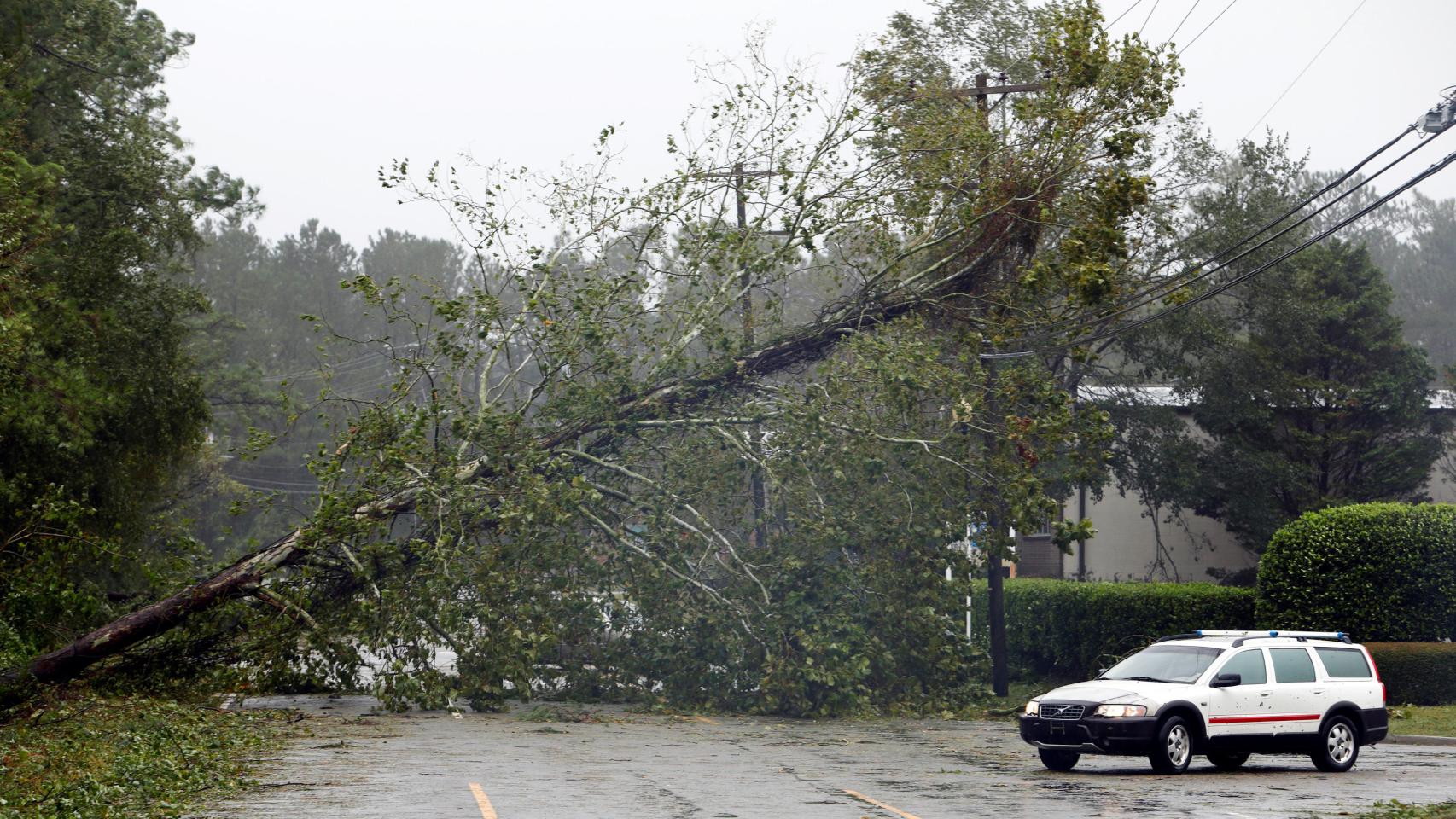 Árboles derribados por el huracán 'Florence' a su paso por Wilmington, Carolina del Norte.
