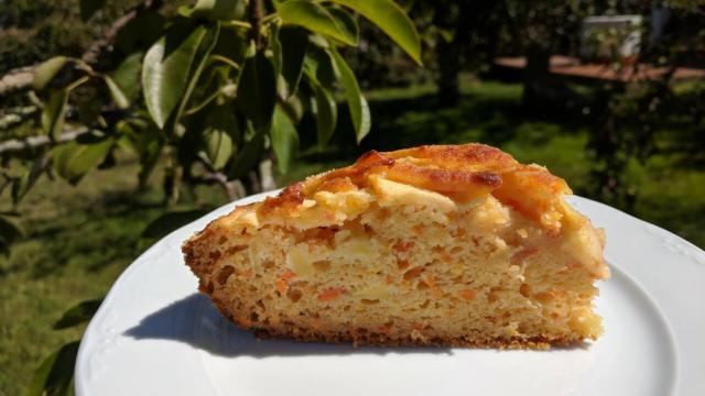 bizcocho zanahora y manzana-1