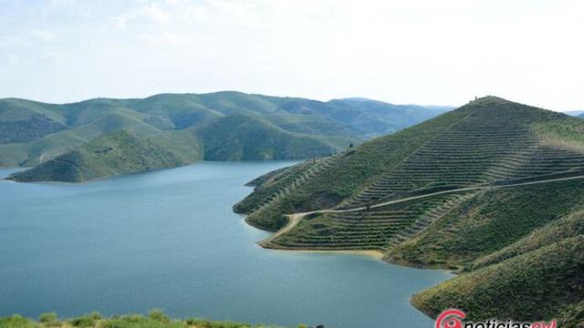 alfandega da fe (40)