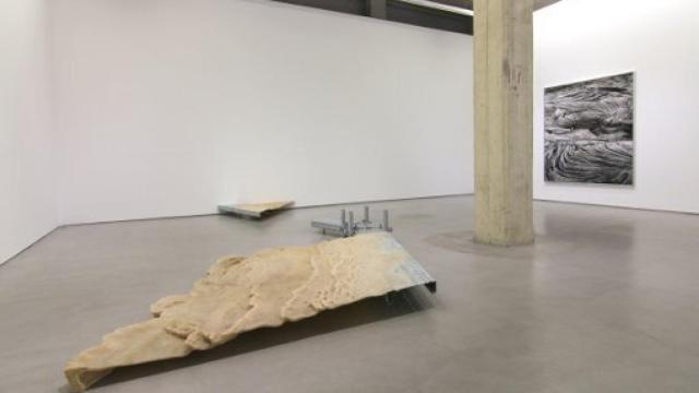 Image: Carlos Irijalba, tierra, traducción y tiempo