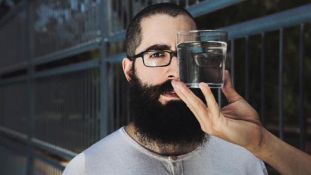 Image: Un roble para renovar las tablas