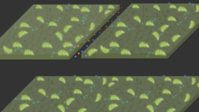 Ilustración de las propiedades de autocuración del nuevo material.