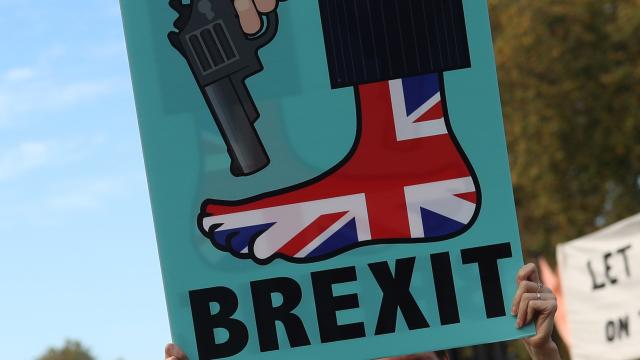 Imagen de una marcha contra el Brexit en Londres.