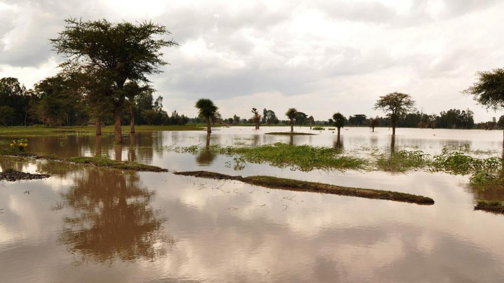 Zona inundada.