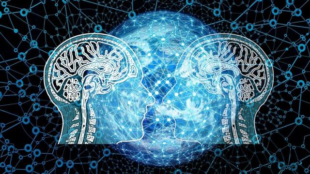 ¿Qué es el cociente intelectual y cómo mide la inteligencia?