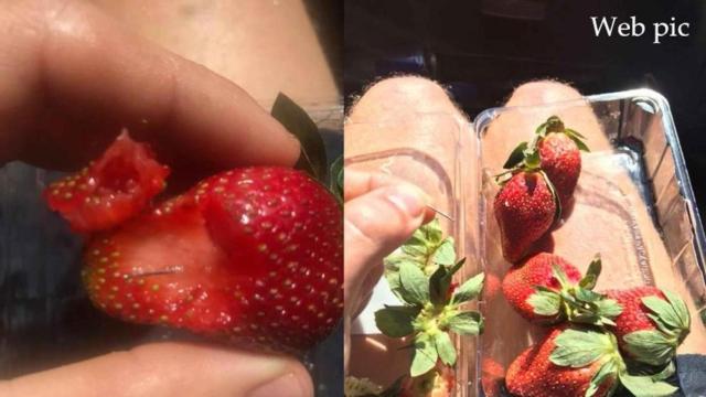Acusada por poner agujas en fresas en Australia afronta diez años de prisión