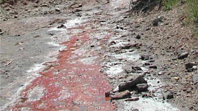 Las placas de sal y la coloración rojiza por salinización de la Malesa, afluente del torrente de Soldevila.