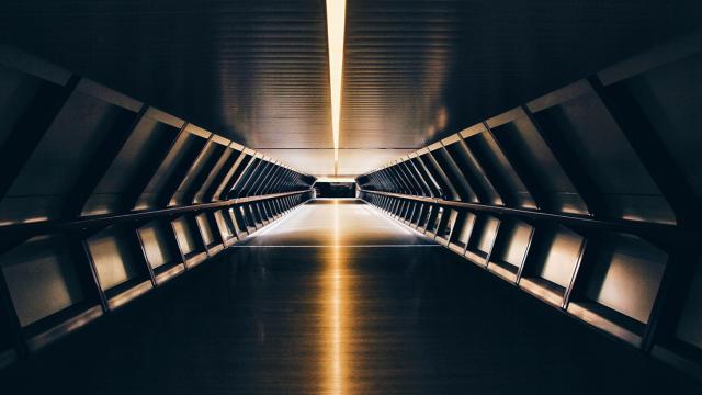 La digitalización revolucionará la sociedad y la economía desde abajo.