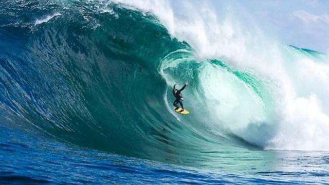 Oleada de resultados: Endesa, Gestamp, Prosegur, Reig Jofre..