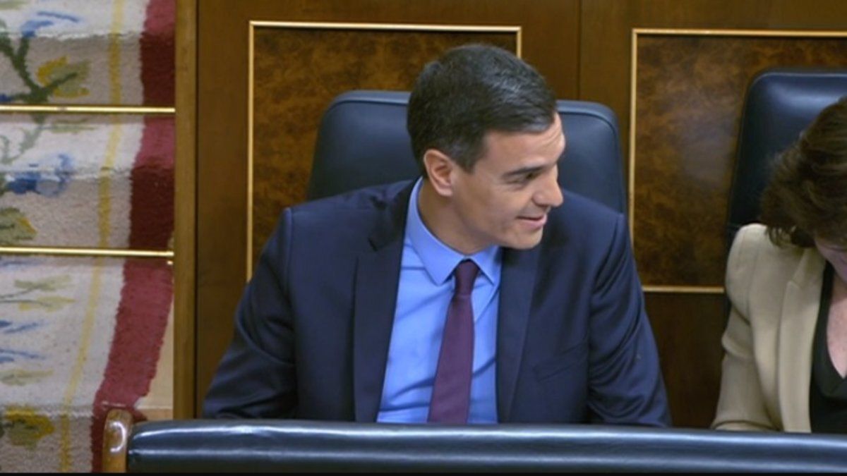 sanchezpleno