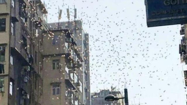 Los billetes desparramándose por las calles