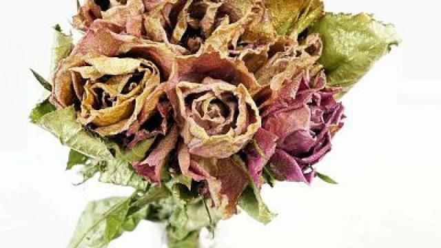 Aprende a secar flores fácilmente con estas técnicas