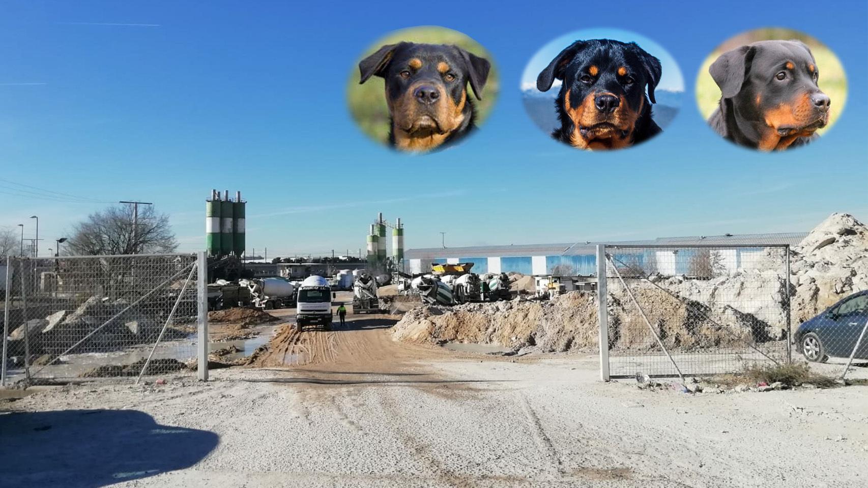 Entrada de la cementera  donde tres rottweiler atacaron a un anciano