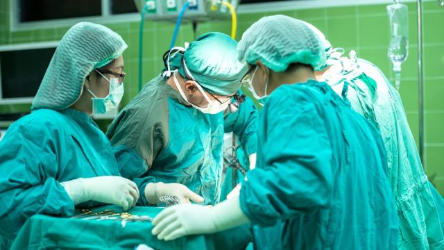 Las enfermedades asociadas a la obesidad cuestan 2.000 de euros millones al año