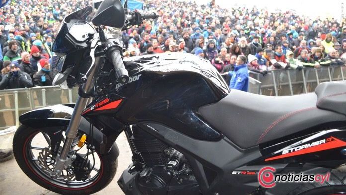 premios pinguinos oro valladolid motos 14