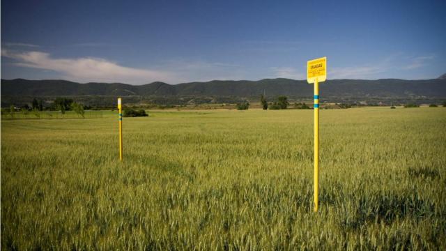 Con la colaboración de Enagás