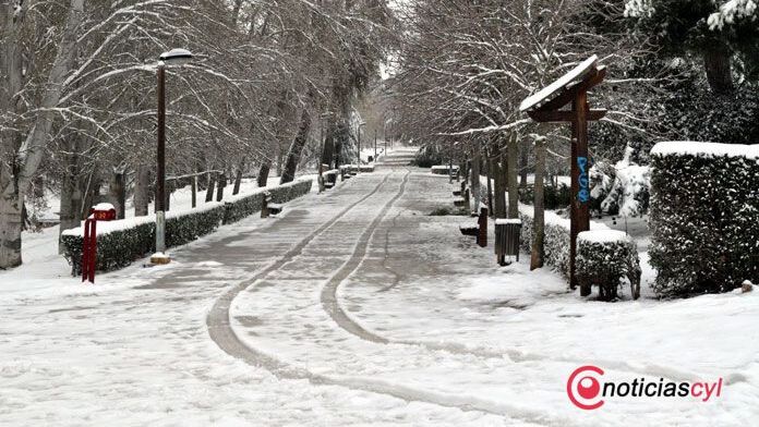 zamora nieve (22)