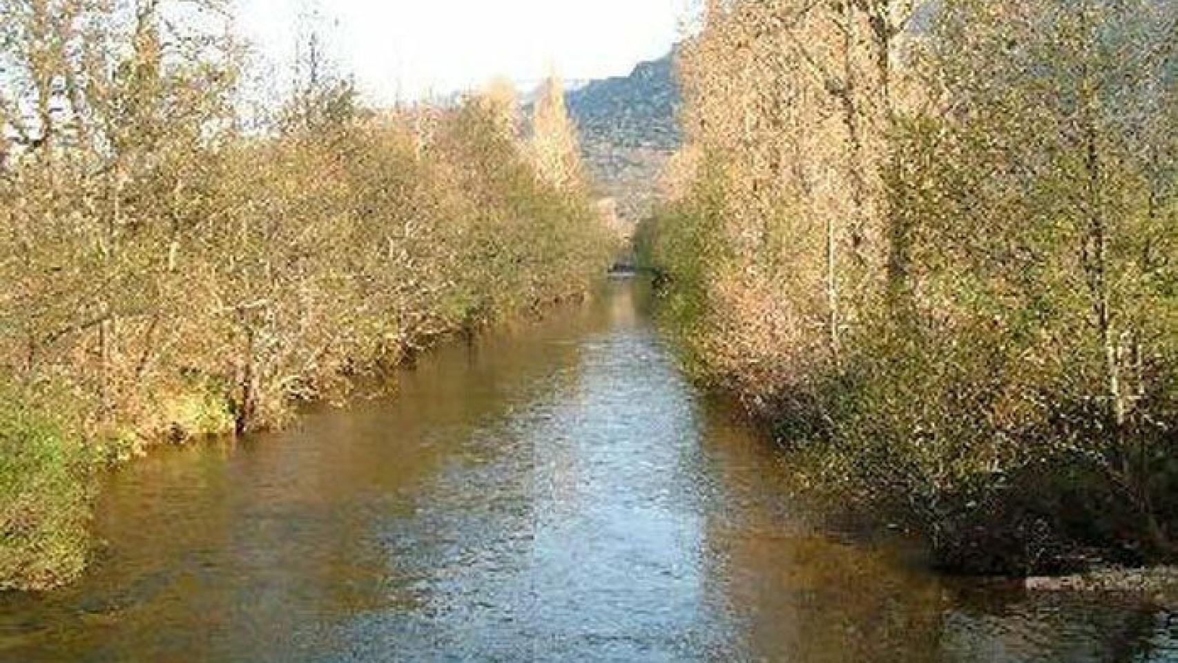 rio-nela