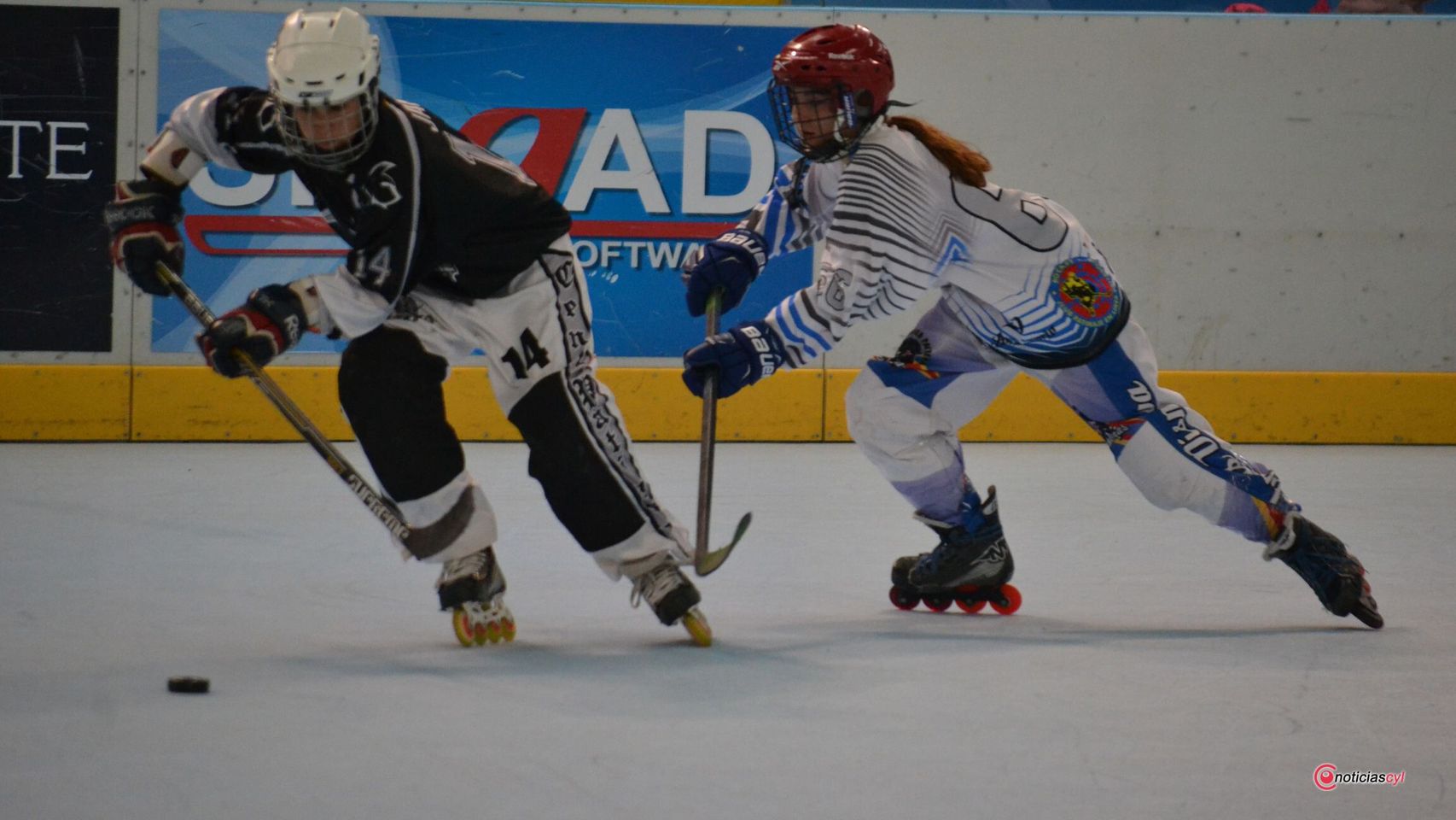 Panteras-CPLV-Rubi-final-liga-canterac-valladolid-(9)