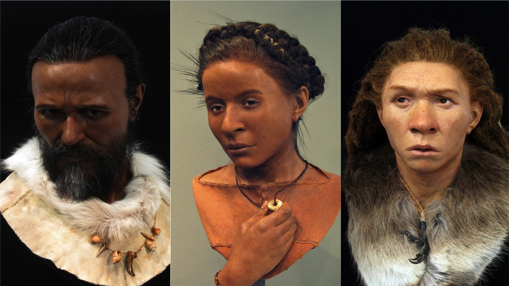 Hombre cromañón, mujer neolítica y mujer neardental