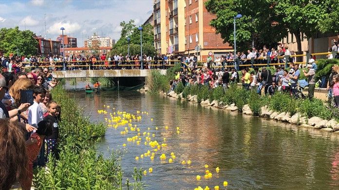 carrera patitos goma esgueva valladolid 1