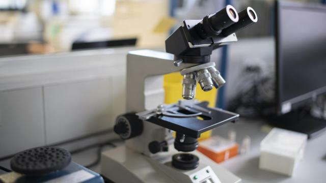Tres frentes para atacar el cáncer