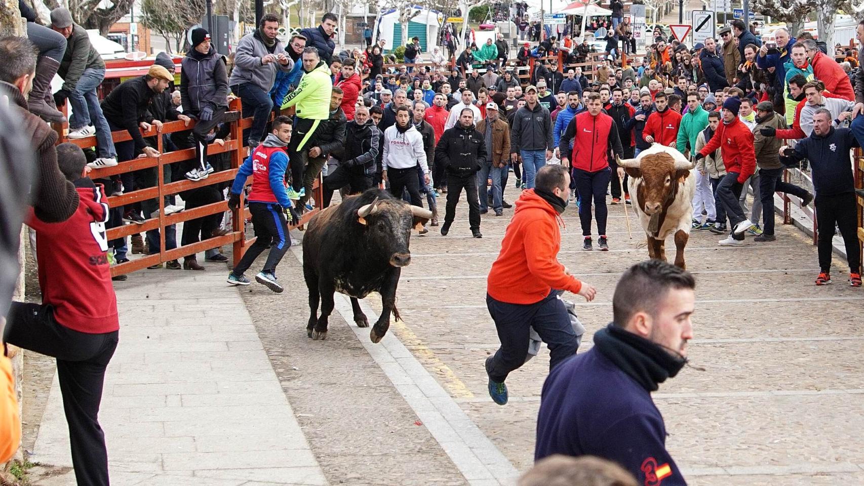 encierro ciudad rodrigo martes 9