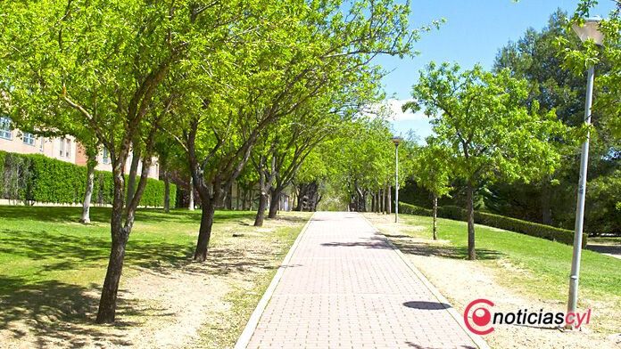 Valladolid-primavera-reportaje-atipica-flores-13