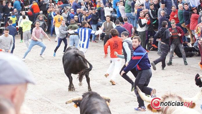 Castilla y León