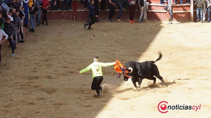 Castilla y León