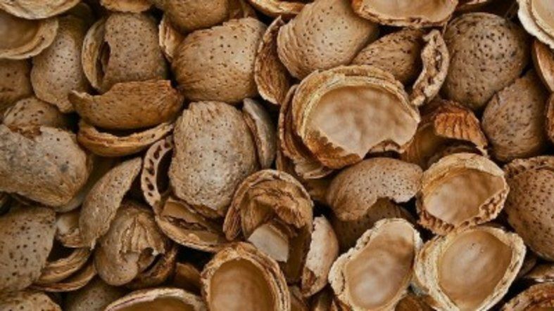 cscaras-de-almendra-frutos-secos-biomasa