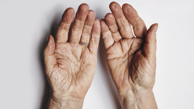 Ayudar a los que te ayudan: la historia de una mujer de 82 años que se niega a jubilarse