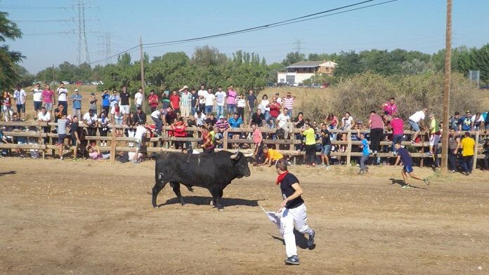 Castilla y León