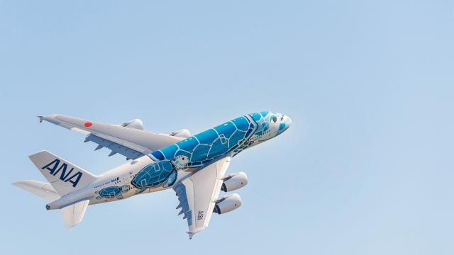 Un A380 de ANA con su característica decoración.