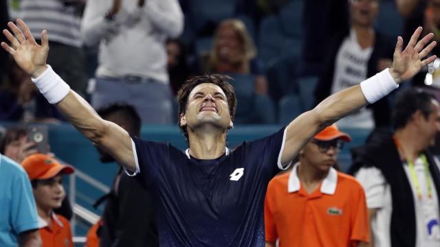 David Ferrer celebra la victoria ante Zverev.